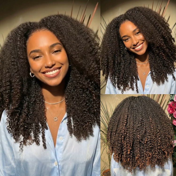 Most Realistic Afro Kinky Curly Human Hair Wig Glueless Lace Wig Ombre End Brown Color with Natural Hairline & Realistic Edges - Rafarada
