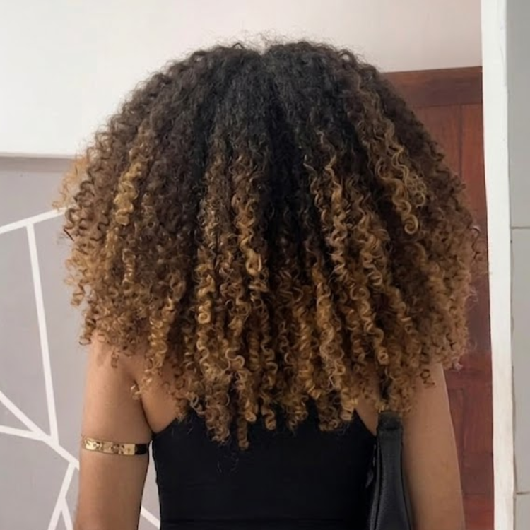 Honey Blonde Highlight Afro Curly Lace Front Human Hair Wig Glueless Pre-Plucked- Rafarada