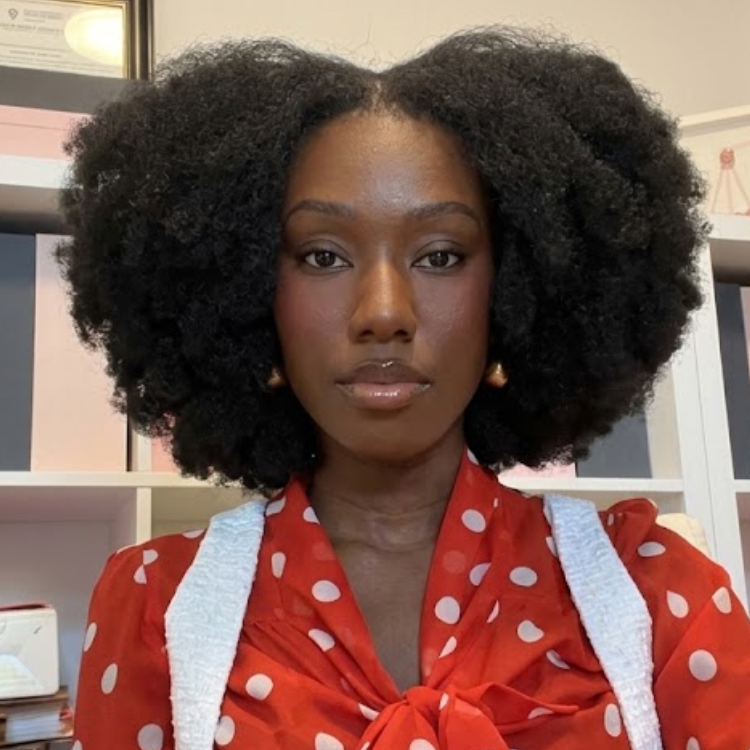 Afro Kinky Blowout 4B 4C HD Transparent Lace Frontal Human Hair Wig - Natural Black High Volume 100% Human Hair Wig for Women - Rafarada