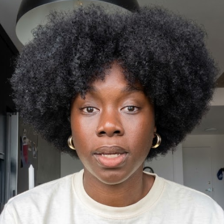 Jet Black High Density Afro Kinky Coily Human Hair Wig - Pre-Plucked Voluminous Textured Cloud Afro Wig- Rafarada