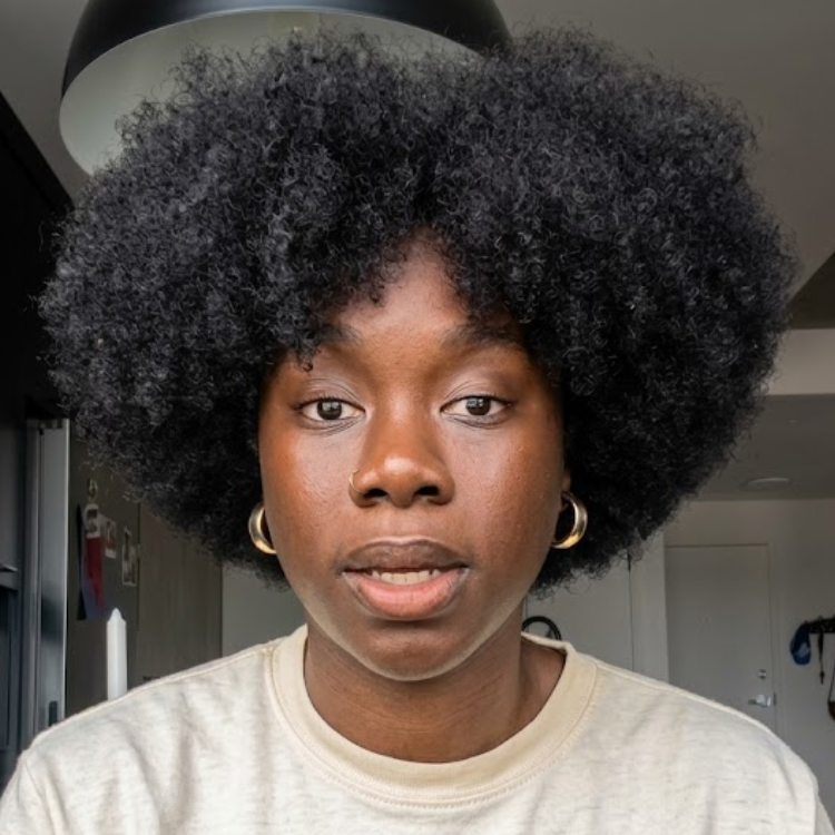 Jet Black High Density Afro Kinky Coily Human Hair Wig - Pre-Plucked Voluminous Textured Cloud Afro Wig- Rafarada