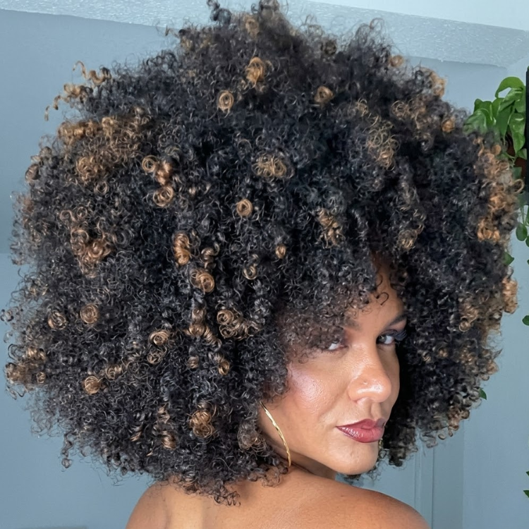 Natural Black Afro Kinky Curly Wig with Honey Blonde Highlighted Ends - Volueless Glueless HD Lace Wigs for Women- Rafarada