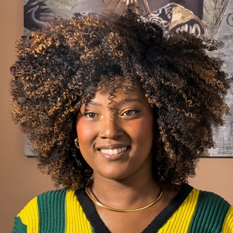 Afro Kinky Curly Human Hair Wig with Honey Blonde Highlights Ombre Chocolate Kinky Curly Glueless Wig Pre-plucked Hairline- Rafarada