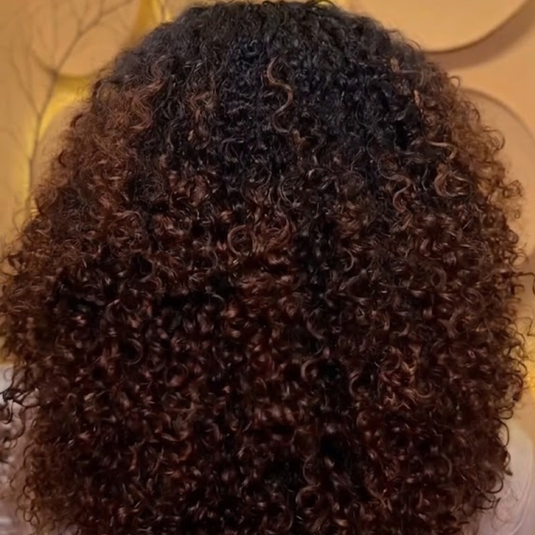 Dark Roots Ombre Auburn Kinky Curly Wig - Voluminous Jerry Curly Glueless Human Hair Wig- Rafarada