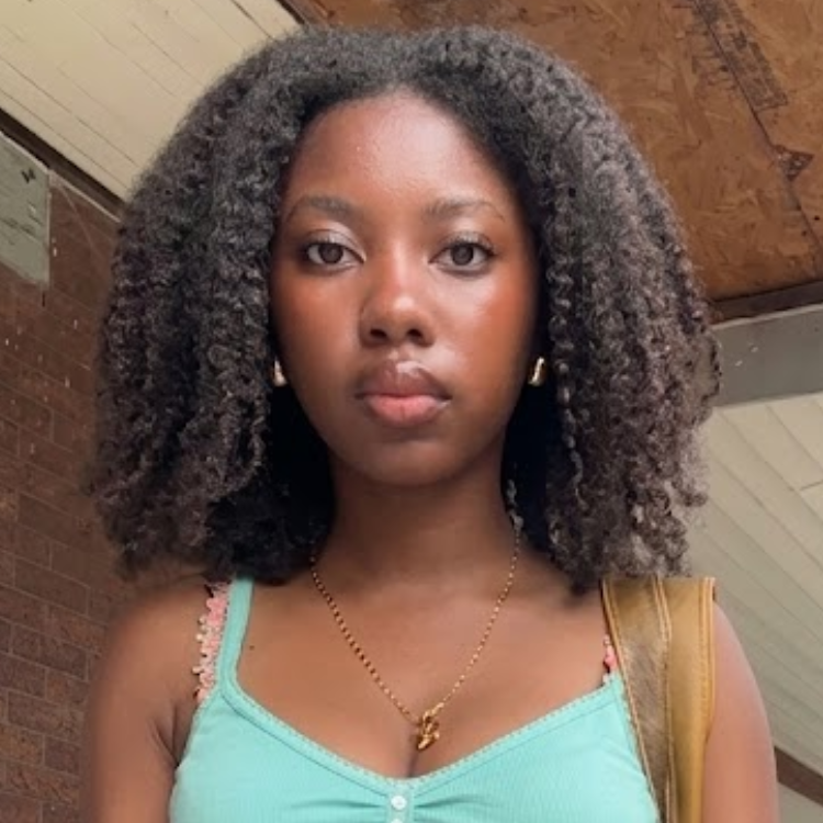 Deep Jet Black Afro Kinky Curly Human Hair Lace Front Wig Extra Thick 4C Textured Coil Curls- Rafarada