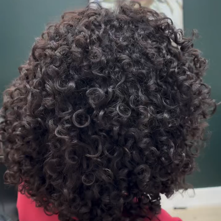 Super Defined Bouncy Spiral Corkscrew Curls Human Hair Wig with Bangs Glueless 100% Remy Human Hair Wig Natural Soft Black High Volume Shag Curly Wig- Rafarada