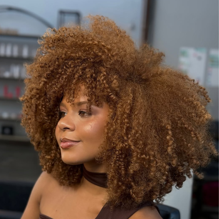 Caramel Brown Afro Kinky Curly Human Hair Wig 220% Density Coily Afro Bob Glueless 100% Human Hair Wigs for Women - Rafarada