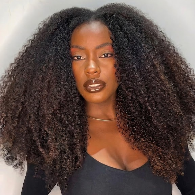 Natural Black to Chocolate Brown Ombre Curly Lace Front Wig HD Transparent Glueless Jerry Curl Wigs for Black Women - Rafarada