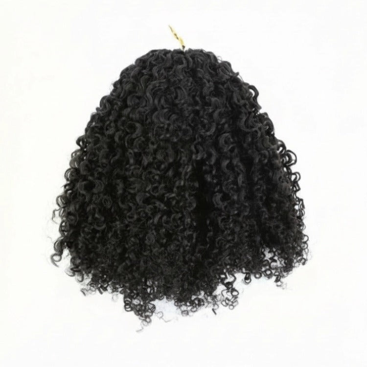 Pre-Looped Coily Curly Crochet Hair Single Pack / 3 Packs / 5 Packs Deal Soft & Full - Rafarada