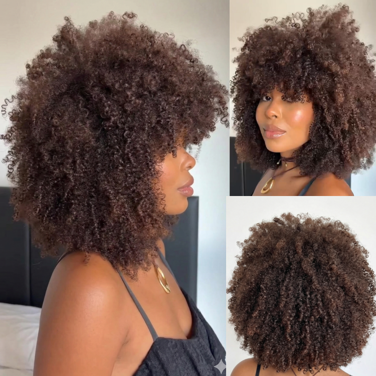 Dark Chocolate Afro Kinky Curly Human Hair Wig with Soft Brown Highlights Natural Hairline Glueless Lace Front Wig - Rafarada