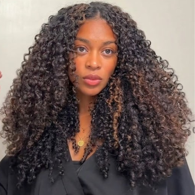 Glueless Deep Curls HD Lace Frontal Human Hair Wig Highlights Natural Black & Espresso- Rafarada