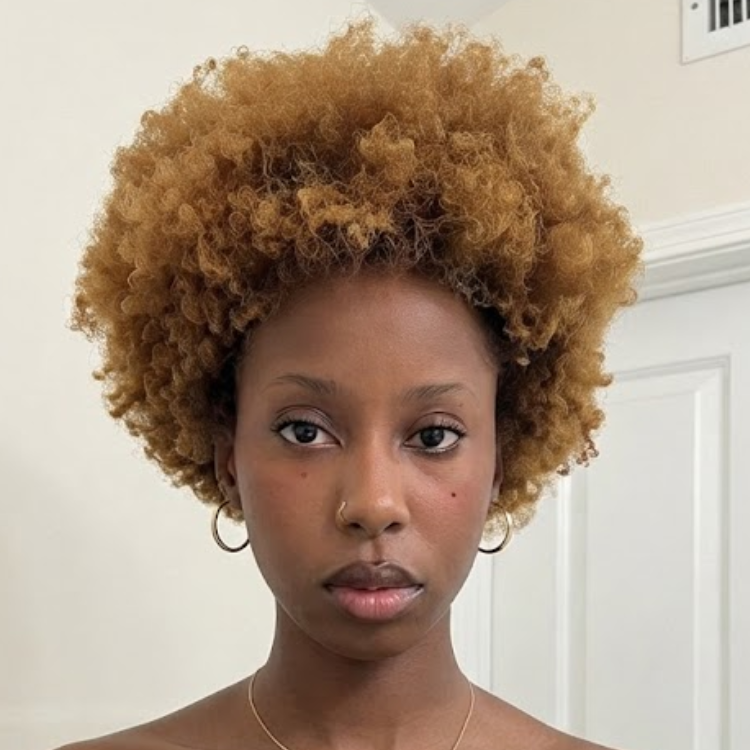 Honey Blonde Afro Kinky Curly Short Bob Wig - Voluminous Coily Texture Glueless Human Hair Wig- Rafarada