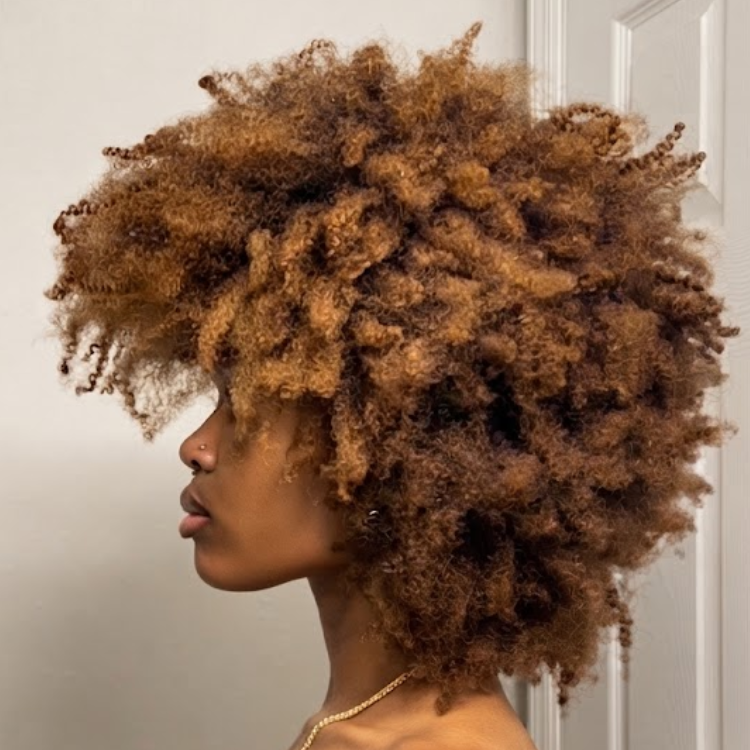 Stunning All-Over Honey Blonde Voluminous Coily Afro Hair - Natural Textured Kinky Coils Wig- Rafarada