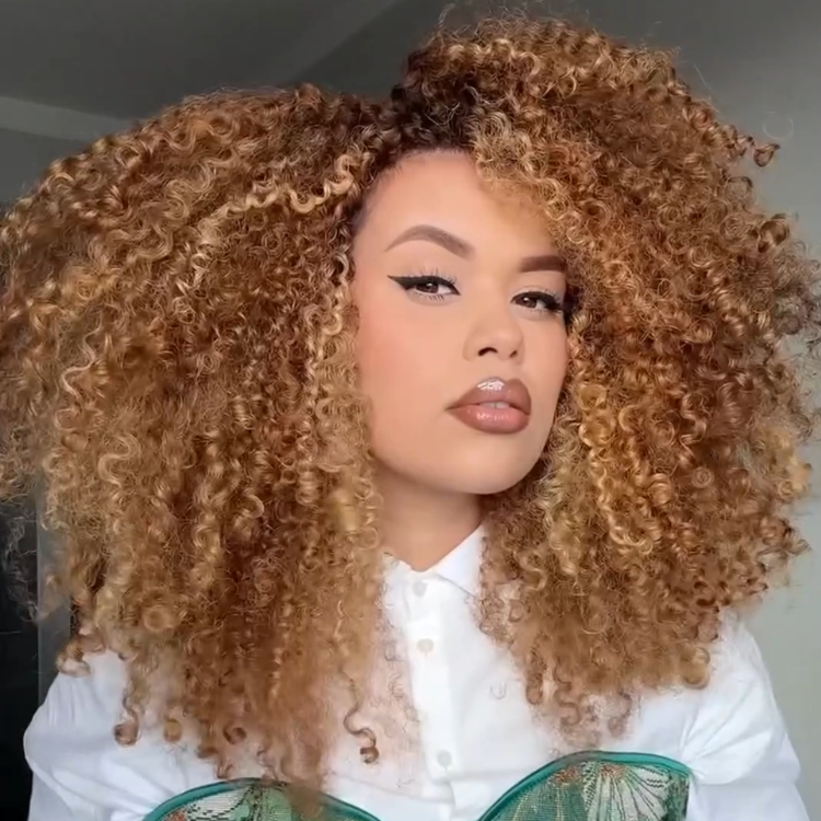 Honey Blonde Ombre Afro Kinky Curly Wig - Glueless 13x4 HD Lace Frontal Jerry Curly Wigs for Women High Density Big Hair- Rafarada