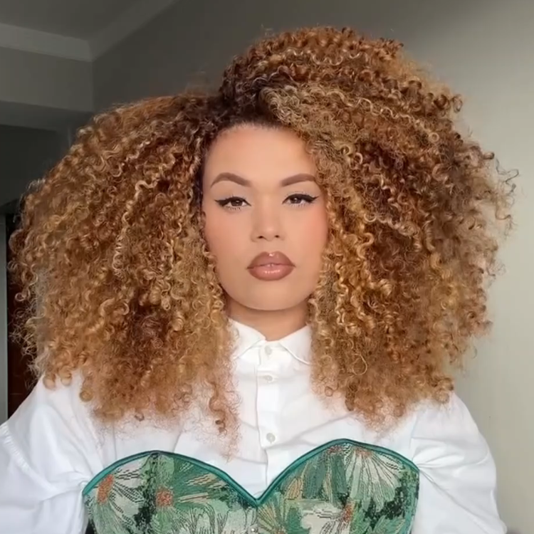Honey Blonde Ombre Afro Kinky Curly Wig - Glueless 13x4 HD Lace Frontal Jerry Curly Wigs for Women High Density Big Hair- Rafarada