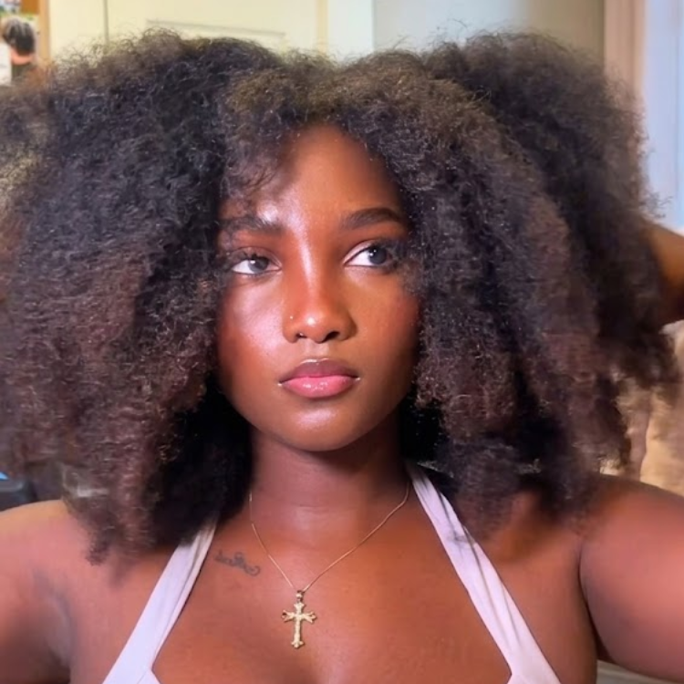 Sun-Kissed Honey Brown Ombre Big Voluminous Kinky Curly Afro Human Hair Wig Glueless Brown Textured Natural Wig- Rafarada