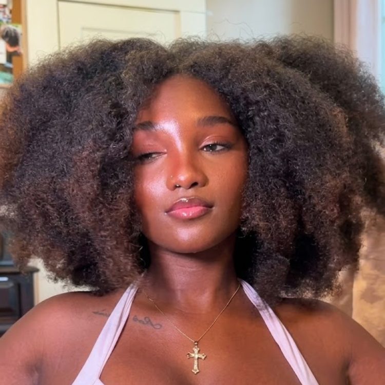 Sun-Kissed Honey Brown Ombre Big Voluminous Kinky Curly Afro Human Hair Wig Glueless Brown Textured Natural Wig- Rafarada