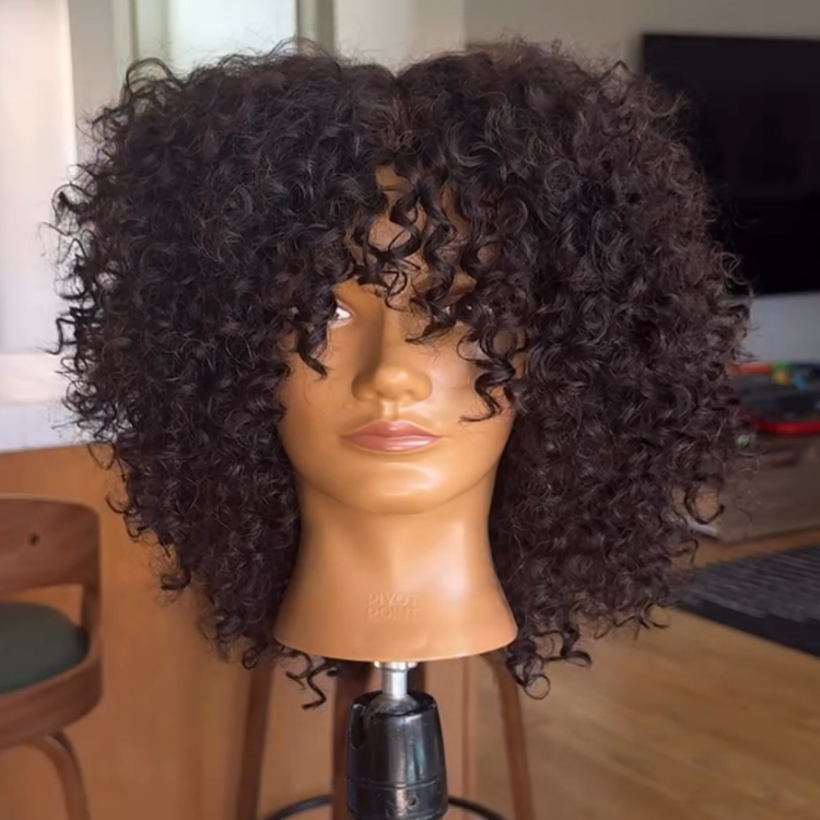 Bouncy Jerry Curly Human Hair Wig with Bangs - Natural Black Glueless Deep Curly Wig for Black Wome - Rafarada