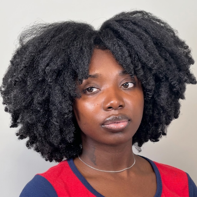 Afro Kinky Curly Human Hair Wig Natural Black Glueless Kinky Coily Wig Pre-plucked Hairline Full Volume Short Kinky Curly Wig - Rafarada