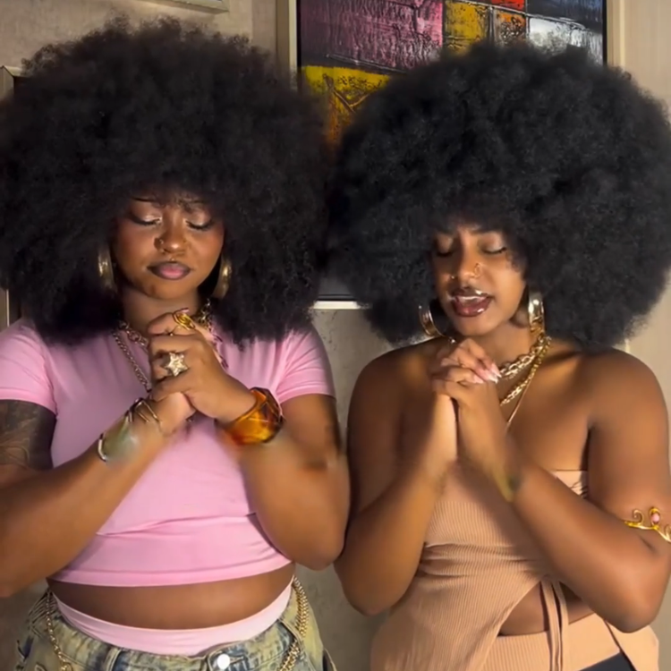 Afro Kinky Coily Human Hair Wig - Glueless Natural Black Voluminous Hair- Rafarada
