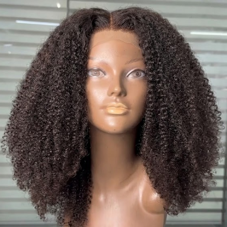 Natural Dark Brown Afro Kinky Curly Human Hair Wig - Glueless Wear and Go High-Definition Curly Lace Front Wig - Rafarada