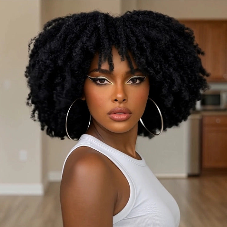 Kinky Curly HD Transparent Lace Frontal Human Hair Wig - Natural Black High Volume 100% Human Hair Wig for Women- Rafarada