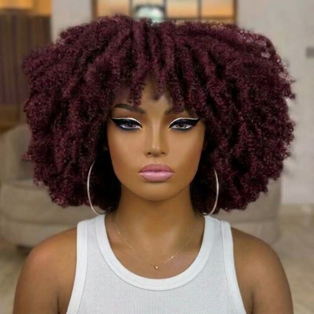 Kinky Curly HD Transparent Lace Frontal Human Hair Wig - Natural Black High Volume 100% Human Hair Wig for Women- Rafarada
