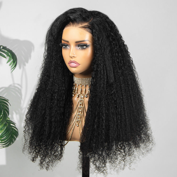 Multi Texture Kinky Straight With Afro Curly Wig HD Lace Frontal Thick Curly Hair Glueless Wigs- Rafarada