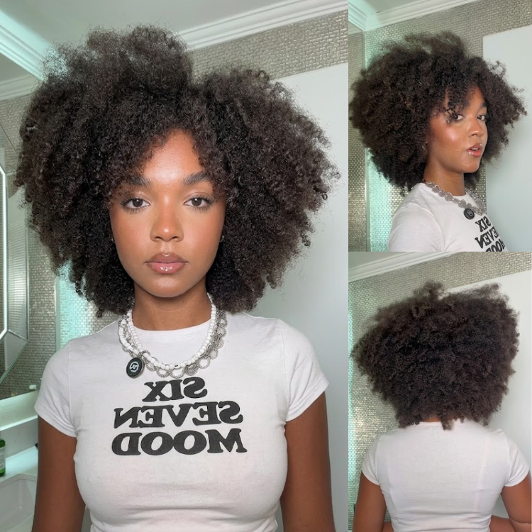 Natural Black Afro Kinky Curly Human Hair Wig Afro Coily Bob Glueless HD Lace Frontal Brazilian Human Hair Wigs for Women- Rafarada