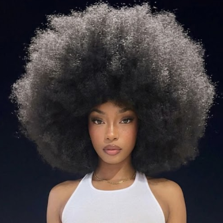 Afro Kinky Coily Human Hair Wig - Glueless Natural Black Voluminous Hair- Rafarada