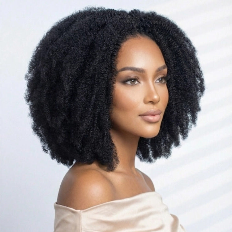 Luxury Guleless Human Hair Wigs Natural Color Afro Kinky Curly Human Hair Fashion Stylish Designer With 4C Edges Wigs - Rafarada