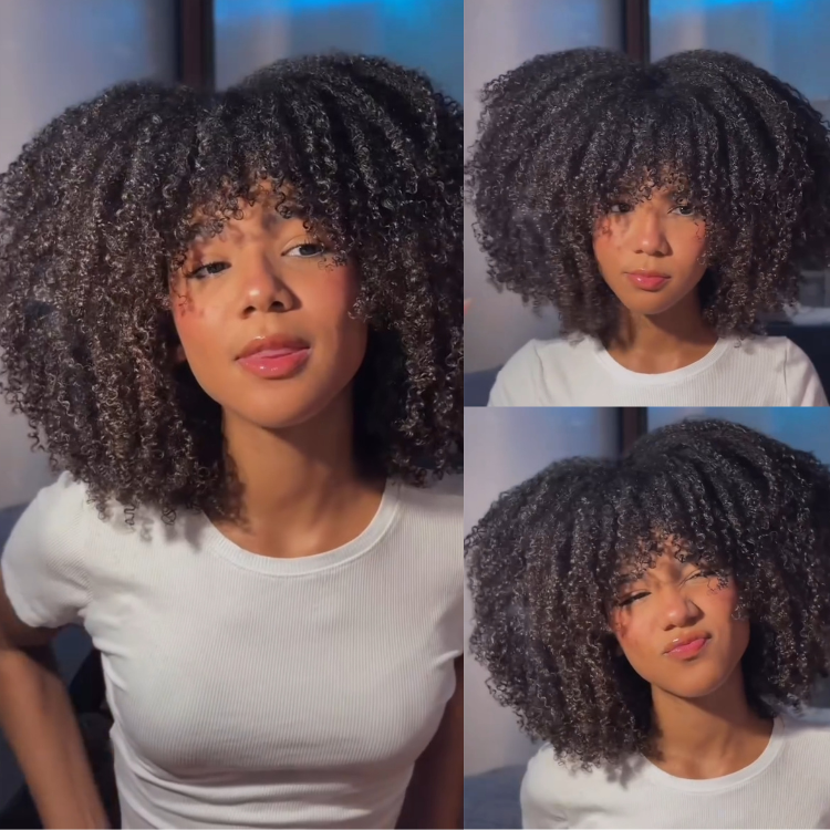 Afro Curly Twist Hair Wig Pre-plucked Short BOB Human Hair Wig HD Lace Front Wigs - Rafarada