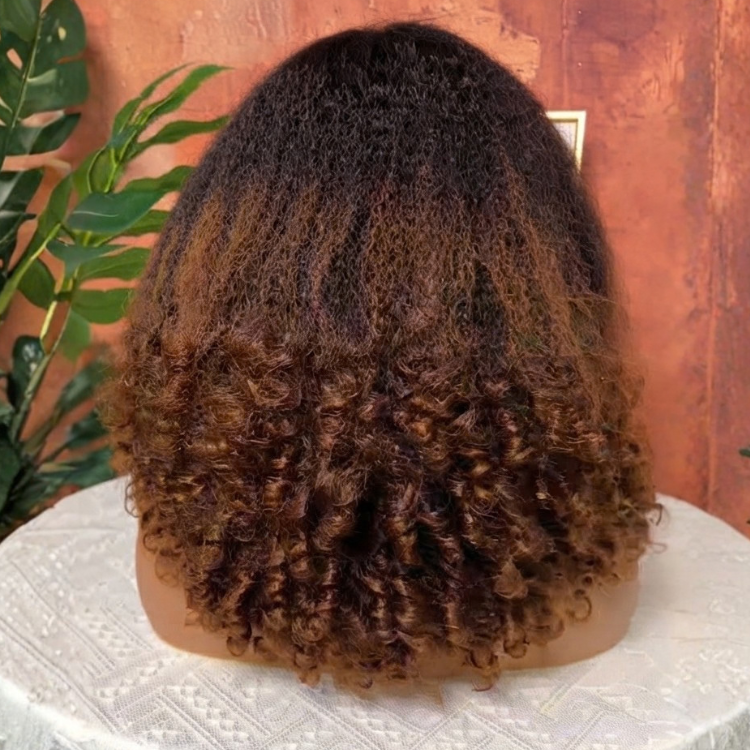 Ombre Black With Brown Color Kinky Curly Wig Glueless Lace Front Human Hair Wigs High Density For Women - Rafarada