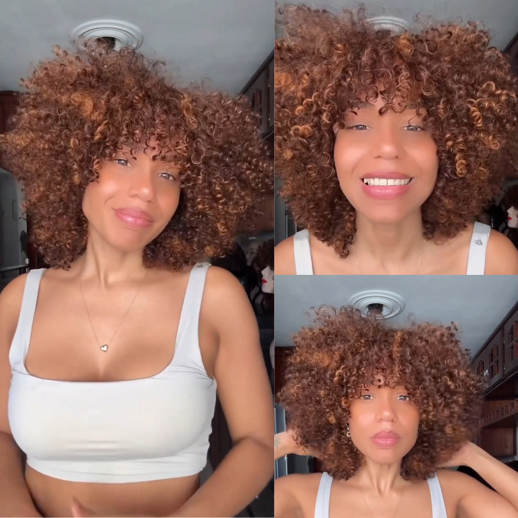 Auburn Brown Mix Mixed Curly Human Hair Wig Highlight Bouncy Curly Lace Frontal Wig Natural Looking Glueless Wig - Rafarada