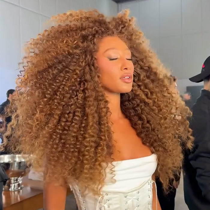 Honey Blonde Highlighted Brazilian Kinky Curly Human Hair Wig Glueless Lace Natural Hairline Pre-Plucked Wig- Rafarada