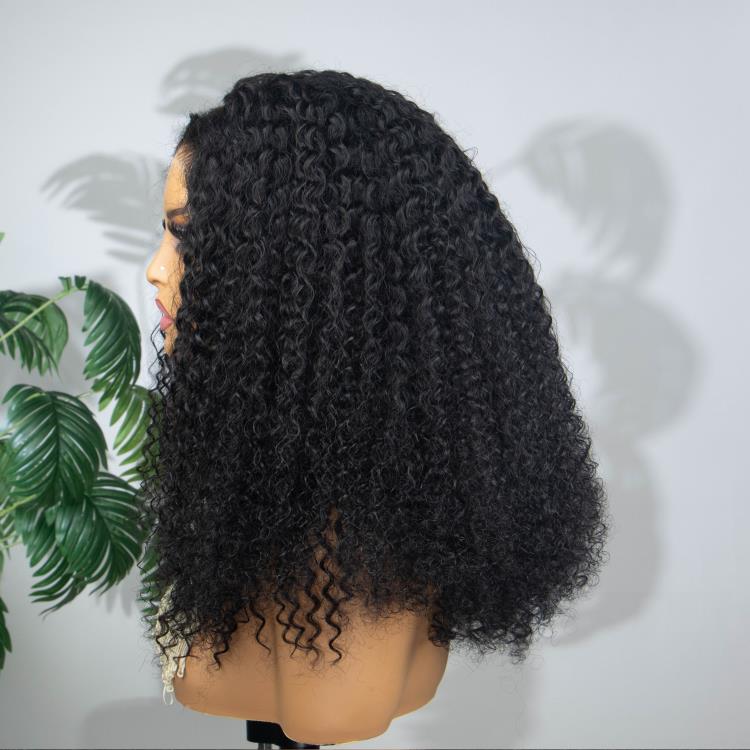 Wear Go Wigs Kinky Curly Wig Pre Cut 13x6 HD Lace Glueless Human Hair Wigs- Rafarada