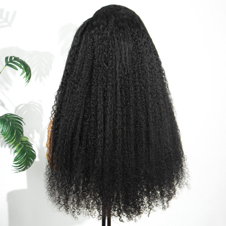 Multi Texture Kinky Straight With Afro Curly Wig HD Lace Frontal Thick Curly Hair Glueless Wigs- Rafarada