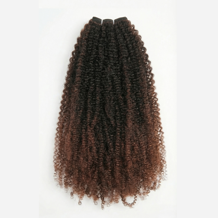 Ombre Brown Kinky Curly Human Hair Bundles 1B/30 Two Tone Afro Kinky Curly Weave 2/3/4 Bundles Deals Human Hair Extensions- Rafarada