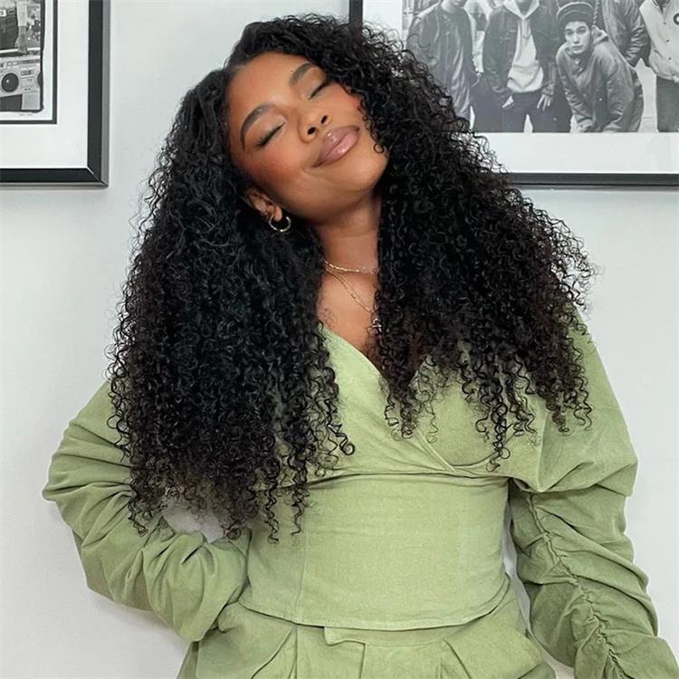 Kinky Curly Human Hair Wigs Prelucked Hairline For Women 4x4 Lace Closure Wig - Rafarada