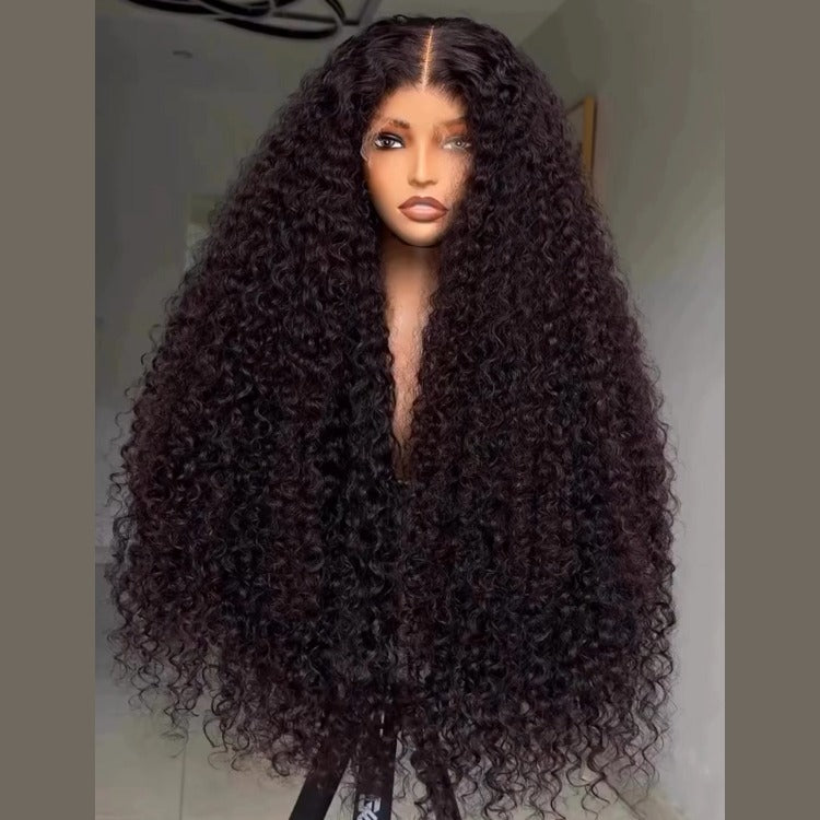 Long Hair Kinky Curly Wig Lace Front Human Hair Pre Bleached Knots Thick Wig - Rafarada