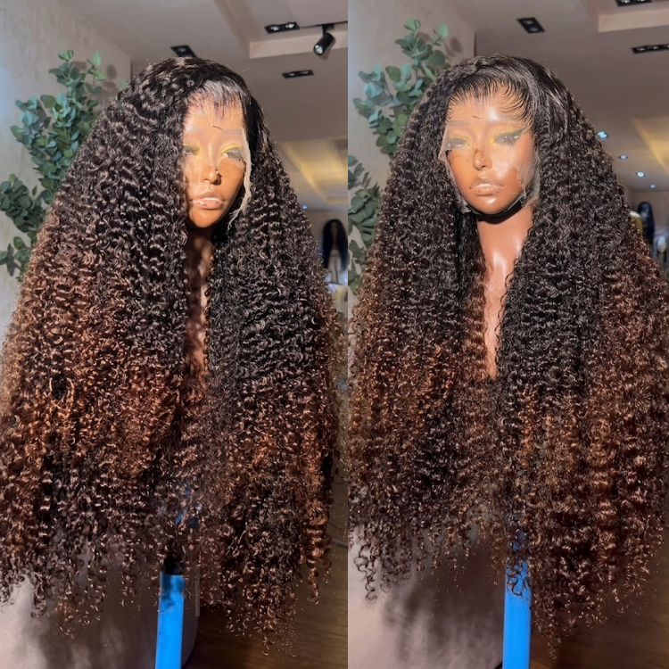 Ombre Honey Brown Kinky Curly HD Lace Front Human Hair Wig- Rafarada