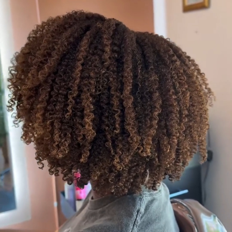Kinky Curly Mixed Spiral Curls Glueless Human Hair Lace Front Wig Natural Black With Highlight Color 4C Edges Hairline- Rafarada