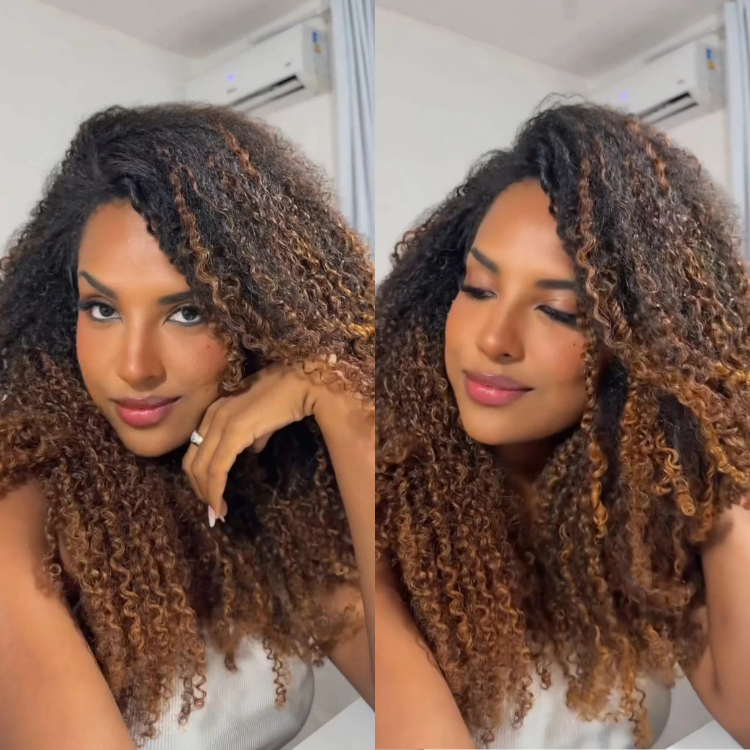 Kinky Curly Highlight Brown Lace Frontal Wig Glueless Chestnut Brown Mixed Long Curly Human Hair - Rafarada - Rafarada