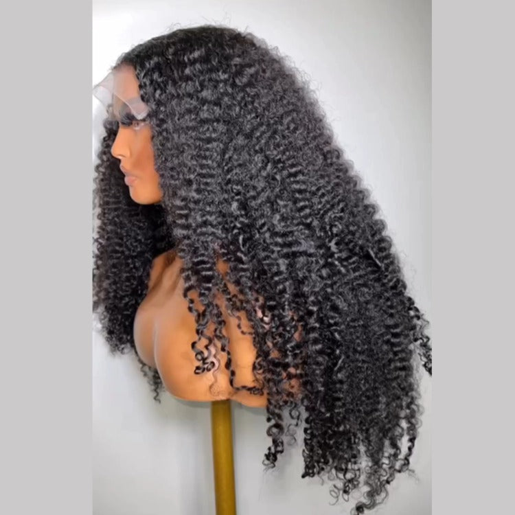 Extra Thick Kinky Curly Lace Front Wig Natural Fullness - Rafarada