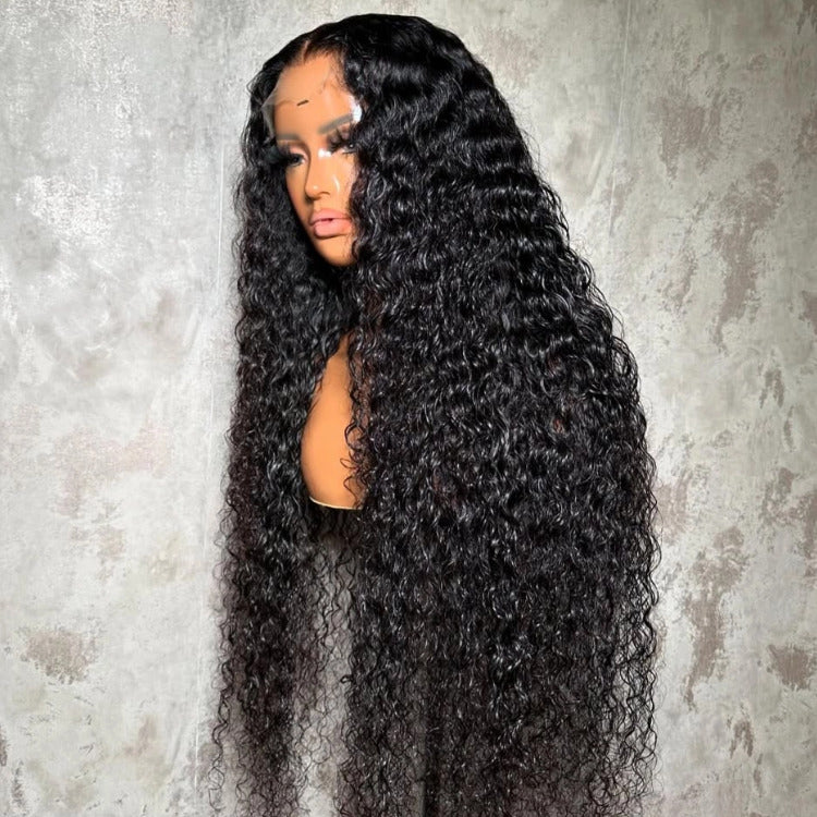 Water Wave Human Hair Wig Wet and Wavy Lace Front Wigs With Baby Hair Wig - Rafarada