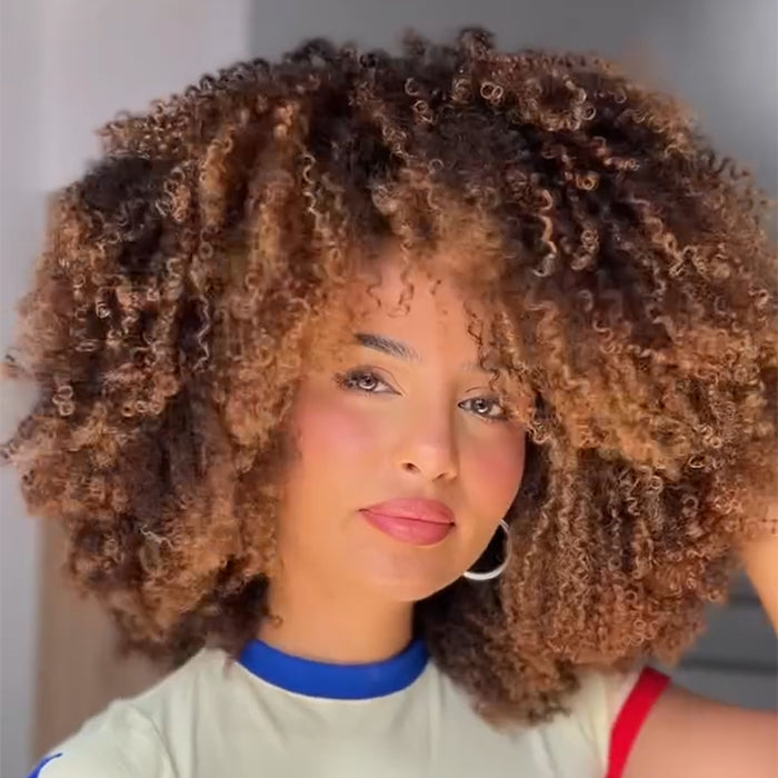 Honey Blonde Highlight Afro Kinky Curly Wig Glueless Fluffy Coily Ombre Color Wigs for Beginner - Rafarada