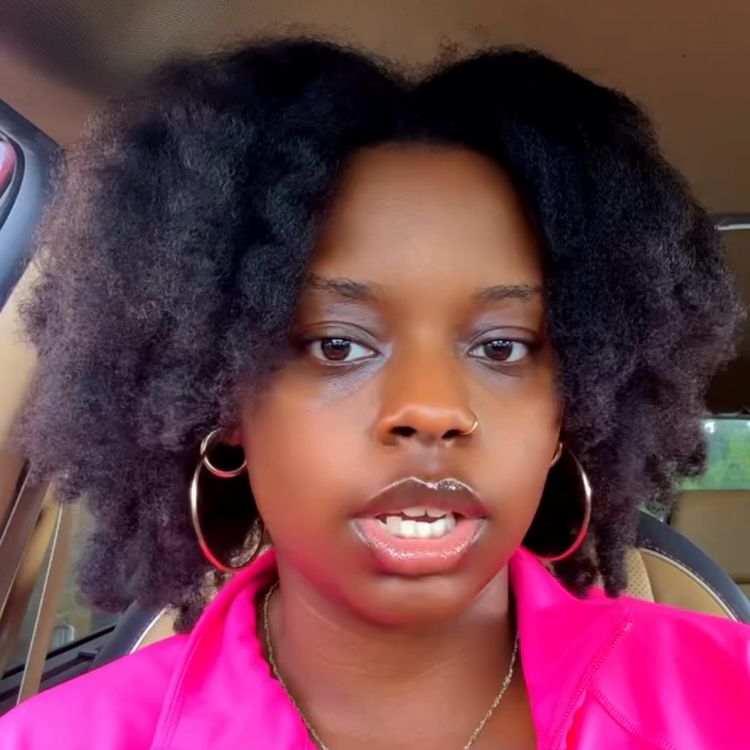Natural Deep Black 4B/4C Kinky Coily Human Hair Wig - Pre-Plucked Voluminous Textured Afro Curls - Rafarada
