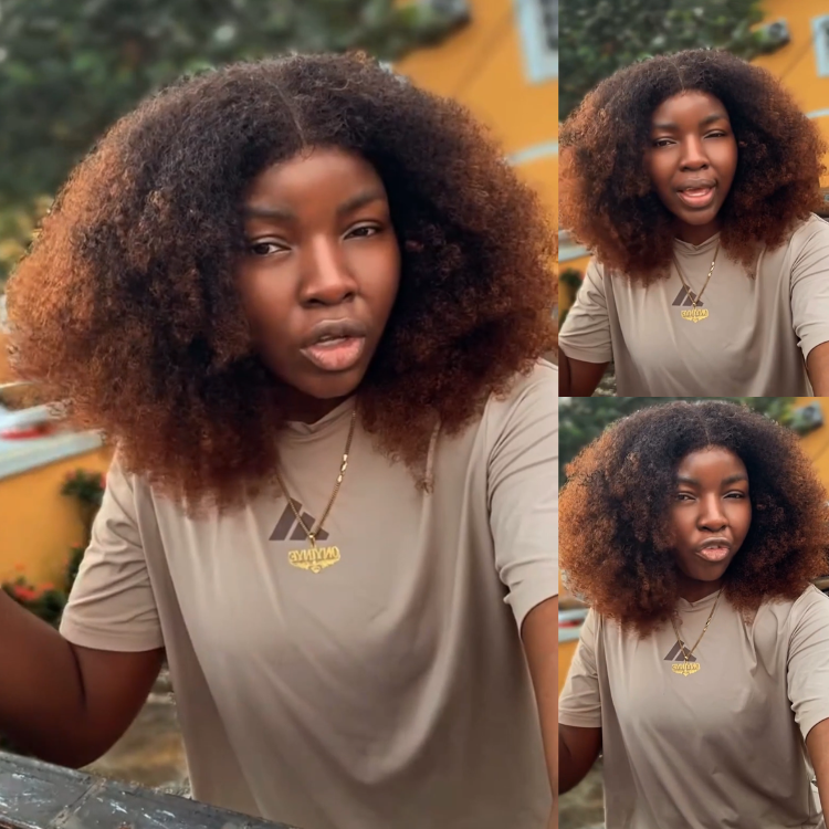 Natural Black Ombre Dark Brown Afro Kinky Curly Wig - Premium 100% Human Hair 4C Afro Curly Wig for Women- Rafarada
