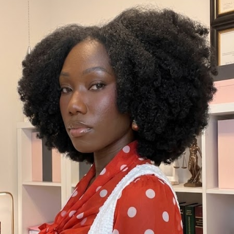 Afro Kinky Blowout 4B 4C HD Transparent Lace Frontal Human Hair Wig - Natural Black High Volume 100% Human Hair Wig for Women - Rafarada