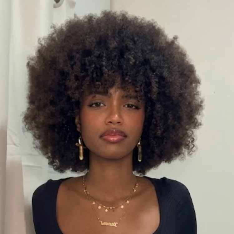Afro Kinky Coily Human Hair Wig - Glueless Natural Black Voluminous Hair- Rafarada